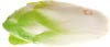 Belgian endive